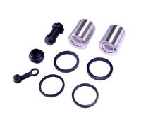 2x Pistoncini + Kit di Riparazione per Honda CBR 250 CBR250 R MC41A 2011-2014