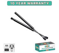 Per Citroen C3 MK1 Hatchback (2002-2010) Portellone Puntoni Sollevatori Gas E637