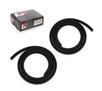 2x Portiera Auto Guarnizione IN Gomma Paraspigoli Posteriore SX Dx per BMW X3