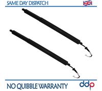 2x Posteriore Elettrico Portellone Alimentazione Sollevatore Supporto / Perno