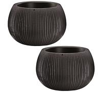 2x Prosperplast Botson Bowl Plastica con stoccaggio in cemento nero, 11 (Alto) x 14.4 (larghezza) x 14.4 (profondo) CMS