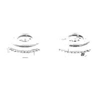 2x Pulegge fasatura variabile TOPRAN S+D per MERCEDES-BENZ CLK (C209), CLK