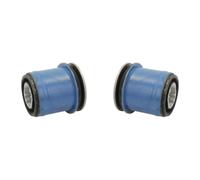 2x REINHOCH Supporto Corpo Assale Posteriore per Ford Galaxy WA6 2.0 TDCI Volvo