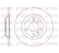 2x REMSA 6690.00 Disco freno Posteriore adatto per PEUGEOT 407 (6D) 407 SW (6E)