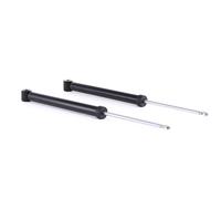 2x RIDEX 854S1543 Ammortizzatore Posteriore A pressione del gas Ammortizzatori