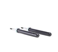 2x RIDEX 854S1860 Ammortizzatore Anteriore A pressione del gas Ammortizzatori