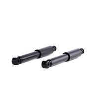 2x RIDEX Ammortizzatore Anteriore A pressione del gas Ammortizzatori 854S2224