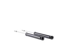 2x RIDEX Ammortizzatore Posteriore A pressione del gas Ammortizzatori 854S2097