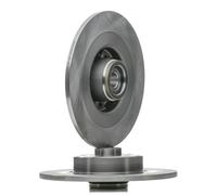 2x RIDEX Disco freno Posteriore per RENAULT ESPACE IV (JK0/1) 300mm