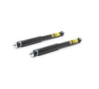 2x RIDEX PLUS Ammortizzatore Posteriore A pressione del gas Ammortizzatori