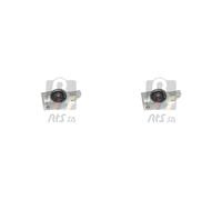 2x RTS Supporto Ammortizzatore Anteriore Adatto per Audi Tt 8J3 2.0 TFSI 1.8 8J9