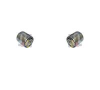 2x RTS Supporto Braccio Oscillante Anteriore Posteriore SX Dx per Audi A4 8D2 B5