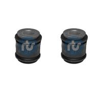 2x RTS Supporto Braccio Posteriore per Dacia Duster Renault Arkana I Lcm LDN 1.3