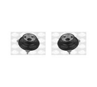 2x SASIC Supporto Ammortizzatore a Molla Frontale per Peugeot 407 Sw 6E_2.0