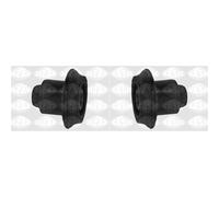 2x SASIC Supporto Corpo Assale Posteriore per Peugeot 106, II 1A_1C_1.1i