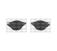 2x SASIC Supporto Frontale per Renault Megane II BM0/1_ CM0/1_ 2.0 16V