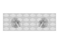 2x SASIC Supporto Parte Anteriore Stabilizzatore SX Dx per Peugeot 207 Cc WD_ Wa