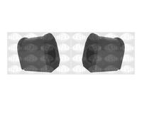 2x SASIC Supporto Parte Anteriore Stabilizzatore SX Dx per Renault Megane I BA0