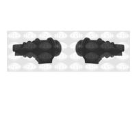 2x SASIC Supporto Parte Anteriore Stabilizzatore SX Dx per Renault Megane i. BA0