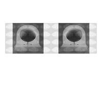 2x SASIC Supporto Parte Anteriore Stabilizzatore SX Dx per Renault Trafic Van