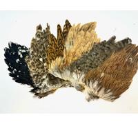 2x Sella di Gallina Tinta, Piuma per la Montaggio a Mosca, 5 colori, arti, nuova