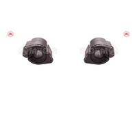 2x SIDEM Supporto Stabilizzatore Posteriore Sinistra Destra per Peugeot 406 8B