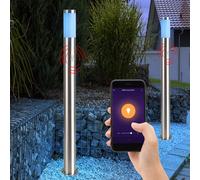 2x Smart RGB LED Giardino da Pavimento Lampada Dimmerabile Alexa Esterno Luci [EEK: G]