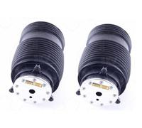 2x Sospensione Pneumatica Molla ad Aria Dietro Skv per Mercedes-Benz (