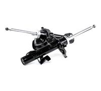 2x STARK Ammortizzatore Anteriore Anteriore Dx Anteriore Sx A pressione del gas