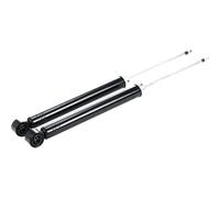 TRW JGT1080T Ammortizzatore