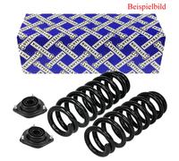 2x Stellox Molla di Sospensione Molla + Piastre Camber Frontale per BMW 5er