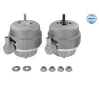 2x Supporto motore anteriore Sx Cuscinetto idraulico ad inserimento elettrico