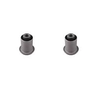 2x TEDGUM Supporto Braccio Oscillante Frontale per Nissan Cabstar F24_35.13