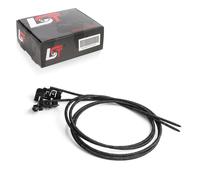 2X Telo Parasole Scorrevole 150 Cm Per Audi A6 Avant 4G Q3 8U