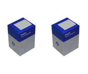 2x Testine barra sterzo DELPHI Davanti S+D per CITROËN, OPEL