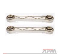 2X Triscan 8500 81521 Manubrio Sospensione Ruota Per Tesla Model S 5YJS
