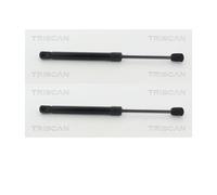 2X Triscan 8710 11133 Gasfeder Motore Posteriore Per BMW F10 F11 F12 F13 F06
