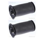 2X Triscan 8720 11202 Sospensione Ad Aria Posteriore Per BMW E61