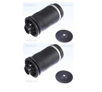 2X Triscan 8720 23204 Sospensione Ad Aria Posteriore Per Mercedes-Benz X164 W164