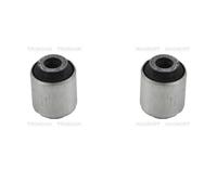 2x TRISCAN Supporto Braccio Oscillante Posteriore SX Dx per Nissan Qashqai II