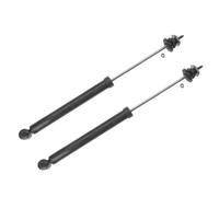 2x TRW Ammortizzatore Posteriore A pressione del gas Ammortizzatori JGT1000S