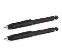 2x TRW Ammortizzatore Posteriore A pressione del gas Ammortizzatori JGT1062S