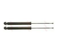 TRW Ammortizzatori posteriori JGT555T - Coppia - Renault Clio III 1.6 16V dal 09 KW94