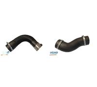 2x Tubi condotti aria BUGIAD S+D per FIAT DOBLO