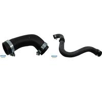 2x Tubi condotti aria BUGIAD S+D per RENAULT CLIO II, CLIO II