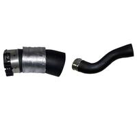 2x Tubi condotti aria BUGIAD Sopra S+D per DACIA, RENAULT CLIO IV, CLIO