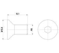 Vite, disco freno TEXTAR TPM0006
