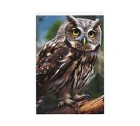 2x3 Bandiera verticale a doppia faccia bandiera festiva Banner con occhielli No Fade Garden Flag Wild Owl Birds Yard Flag Photo Sfondo per interni ed esterni decorazione