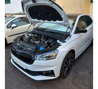 2xCoppia molla a gas cofano motore anteriore supporto per Skoda Fabia 4 dal 2021