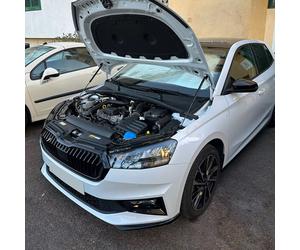 2xCoppia molla a gas cofano motore anteriore supporto per Skoda Fabia 4 dal 2021